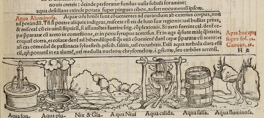 An illustration from Tacuini sanitatis, 1531, leaf 92
