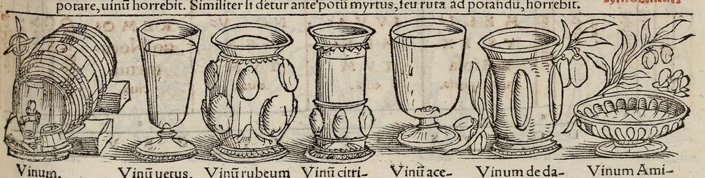 An illustration from Tacuini sanitatis, 1531, leaf 94