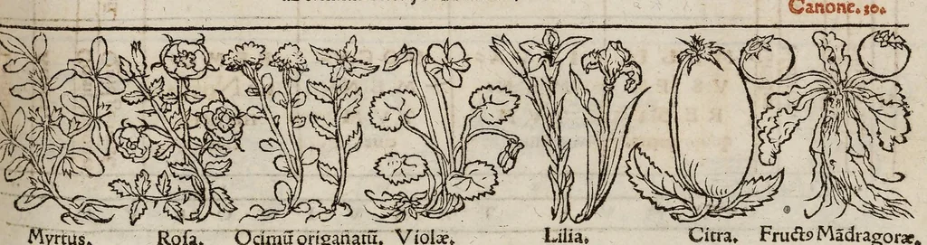 An illustration from Tacuini sanitatis, 1531, leaf 96