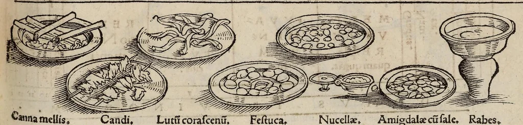 An illustration from Tacuini sanitatis, 1531, leaf 98
