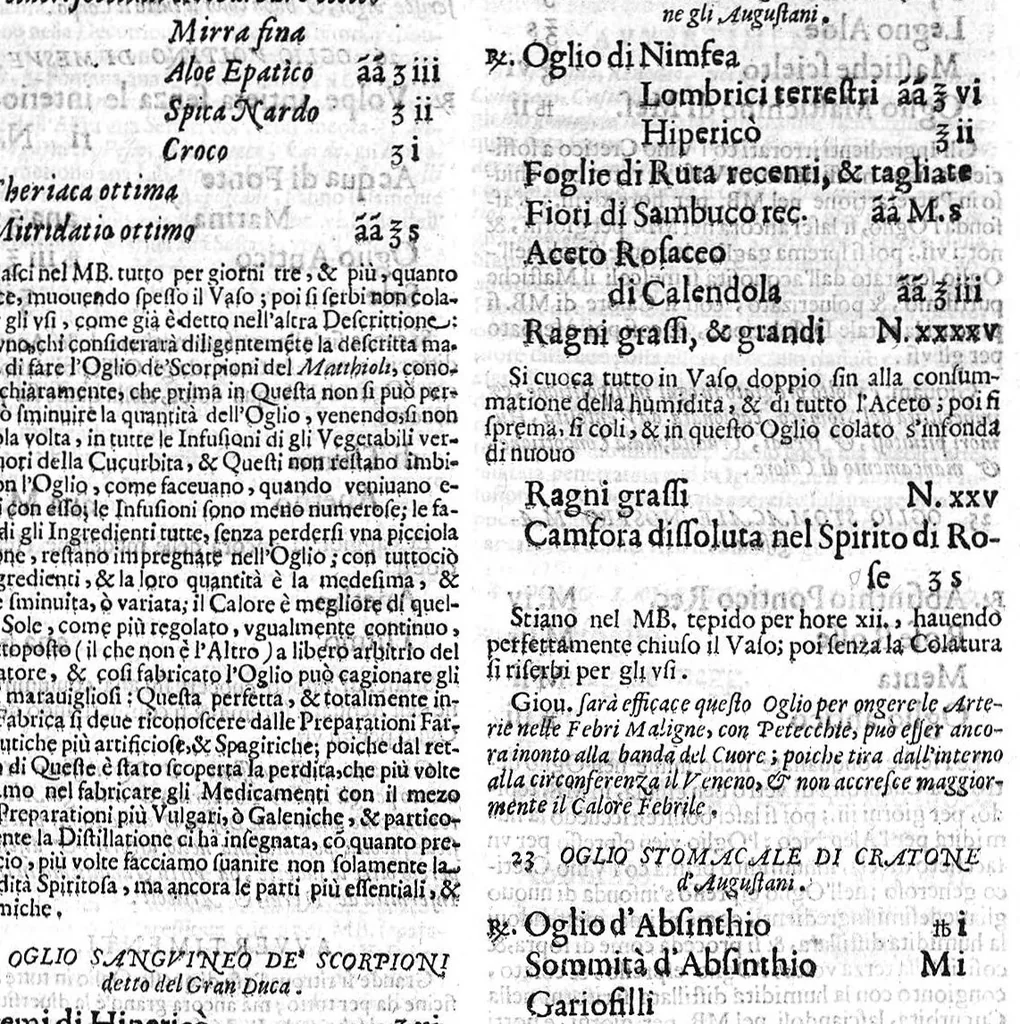 An illustration from Nuovo, et universale theatro farmaceutico. Fondato sopra le preparationi farmaceutiche scritte da'medici antichi, greci, e arabi; principalmente da Galeno, e Mesue / ... ampliato oltre le fabriche ... contenute ne gli antidotarii Veneti di Giorgio Melichio, aumentato da Alberto Stecchini ... con quelle ... compositioni ancora ... da gli più lodati scrittori ..., 1667, leaf 218