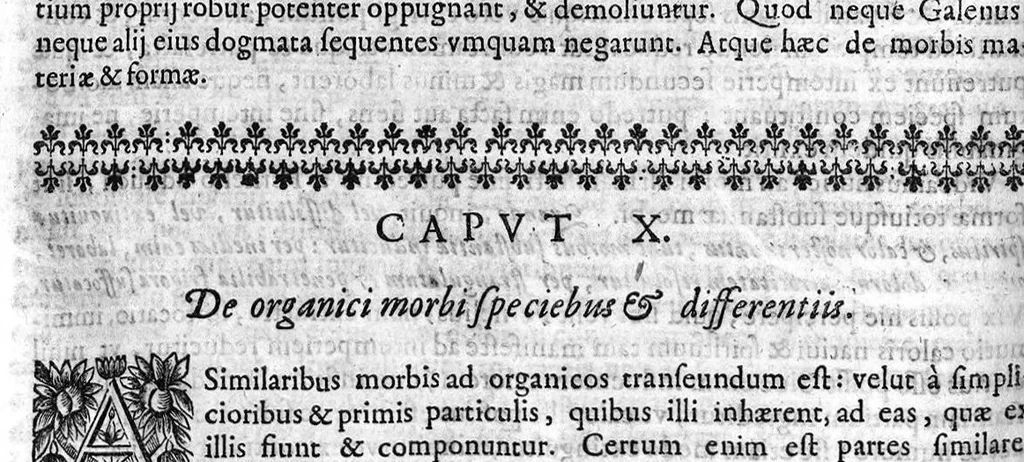 An illustration from Ioannis Varandaei, consilarii medici professorisque regii et decani facultatis medicae monspeliensis, Opera omnia., 1658, leaf 141