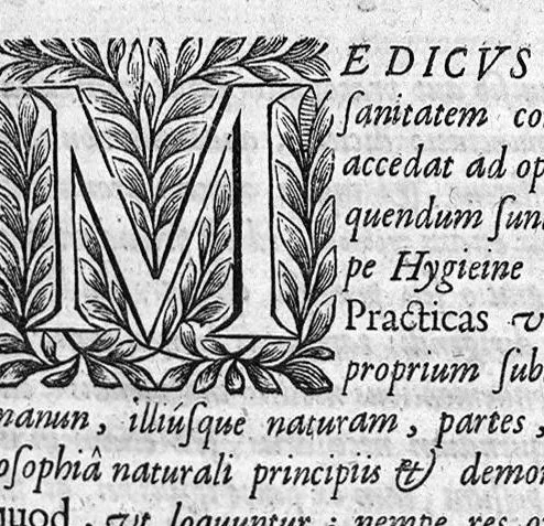 An illustration from Ioannis Varandaei, consilarii medici professorisque regii et decani facultatis medicae monspeliensis, Opera omnia., 1658, leaf 194
