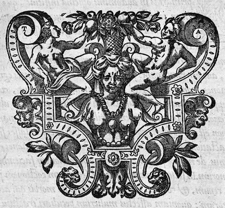 An illustration from Ioannis Varandaei, consilarii medici professorisque regii et decani facultatis medicae monspeliensis, Opera omnia., 1658, leaf 400