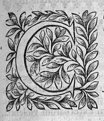 An illustration from Ioannis Varandaei, consilarii medici professorisque regii et decani facultatis medicae monspeliensis, Opera omnia., 1658, leaf 668
