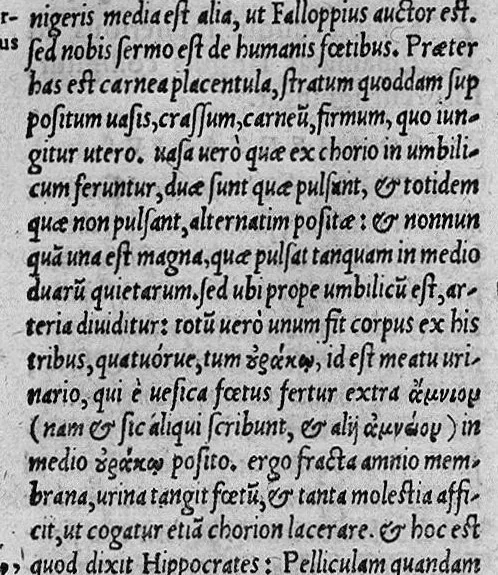 An illustration from Hieronymi Cardani ... in Septem Aphorismorum Hippocratis particulas Commentaria...eiusdem, De Venenorum differentiis, viribus, et adversus ea remediorum praesidiis : ac praesertim de Pestis generibus omnibus, praeservatione et cura, Libri III. Item, de Providentia temporum liber, 1564, leaf 278