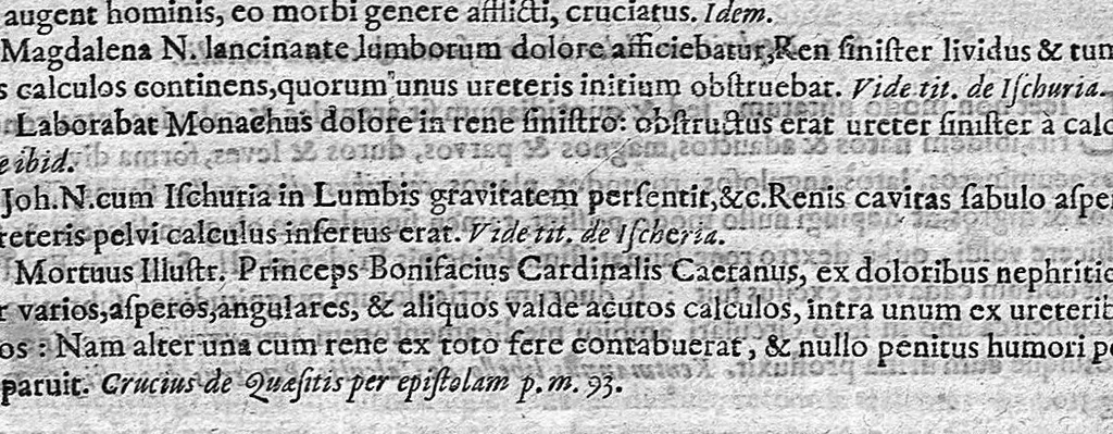 An illustration from Theophili Boneti ... Sepulchretum sive anatomia practica : ex cadaveribus morbo denatis, proponens historias et observationes omnium humani corporis affectuum, ipsorumq; causas reconditas revelans. Quo nomine, tam pathologiae genuinae, quàm nosocomiae orthodoxae fundatrix, imo medicinae veteris ac novae promptuarium, dici meretur. Cum indicibus necessariis / Théophile Bonet. - Editio altera, quam novis commentariis et observationibus innumeris illustravit, ac tertia ad minimum parte auctiorem fecit Johannes Jacobus Mangetus ... Tomus secundus, 1700, leaf 567