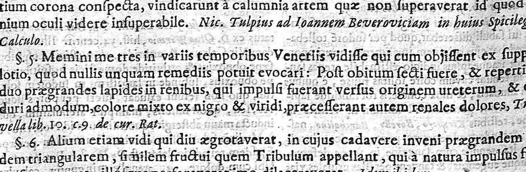 An illustration from Theophili Boneti ... Sepulchretum sive anatomia practica : ex cadaveribus morbo denatis, proponens historias et observationes omnium humani corporis affectuum, ipsorumq; causas reconditas revelans. Quo nomine, tam pathologiae genuinae, quàm nosocomiae orthodoxae fundatrix, imo medicinae veteris ac novae promptuarium, dici meretur. Cum indicibus necessariis / Théophile Bonet. - Editio altera, quam novis commentariis et observationibus innumeris illustravit, ac tertia ad minimum parte auctiorem fecit Johannes Jacobus Mangetus ... Tomus secundus, 1700, leaf 610