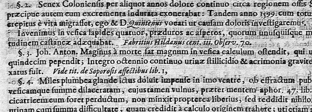 An illustration from Theophili Boneti ... Sepulchretum sive anatomia practica : ex cadaveribus morbo denatis, proponens historias et observationes omnium humani corporis affectuum, ipsorumq; causas reconditas revelans. Quo nomine, tam pathologiae genuinae, quàm nosocomiae orthodoxae fundatrix, imo medicinae veteris ac novae promptuarium, dici meretur. Cum indicibus necessariis / Théophile Bonet. - Editio altera, quam novis commentariis et observationibus innumeris illustravit, ac tertia ad minimum parte auctiorem fecit Johannes Jacobus Mangetus ... Tomus secundus, 1700, leaf 653