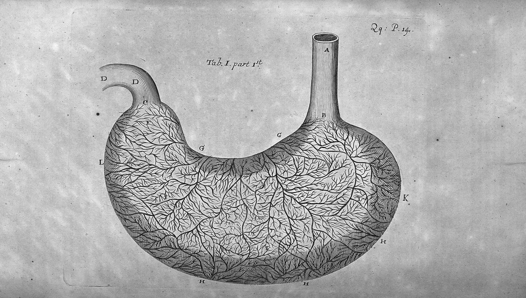 An illustration from Dr Willis's practice of physick, being the whole works of that renowned and famous physician..., 1684, leaf 473