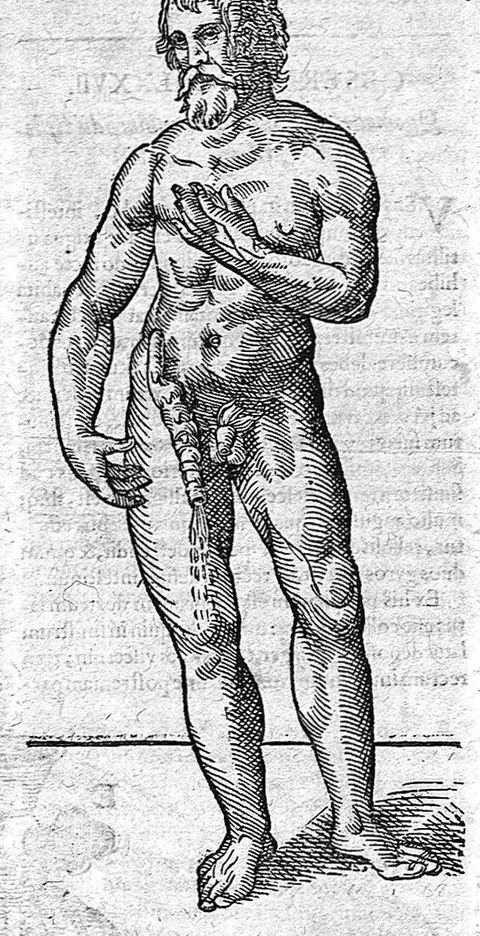 An illustration from Opera observationum et curationum medico-chirurgicarum, quae exstant omnia, 1682, leaf 61