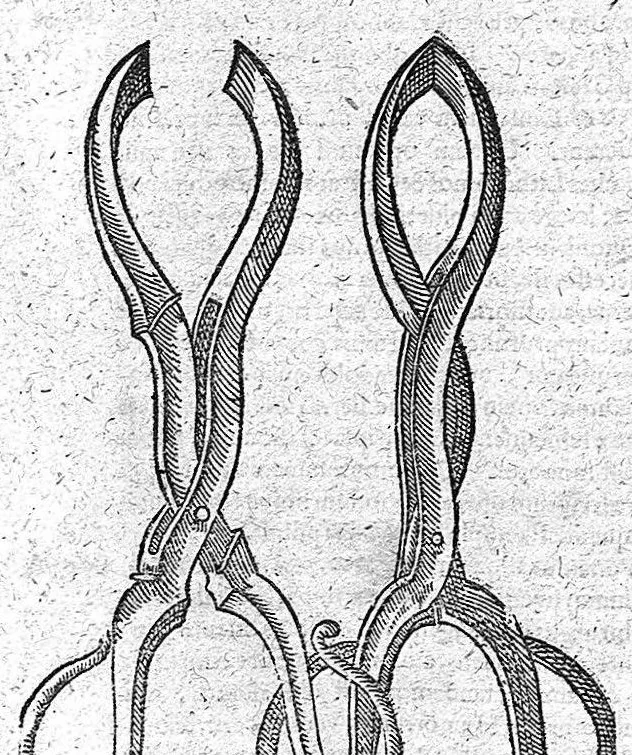 An illustration from Opera observationum et curationum medico-chirurgicarum, quae exstant omnia, 1682, leaf 738