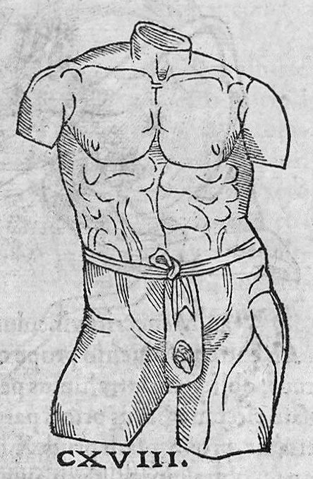 An illustration from Chirurgia è graeco in latinum conversa, Vido Vidio Florentino interprete, cum nonnullis ejusdem Vidii co[m]mentariis, 1544, leaf 495