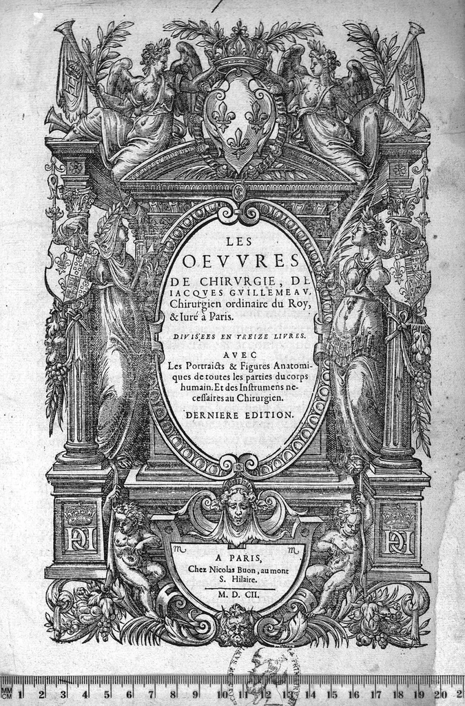 An illustration from Les Oeuvres de chirurgie de Jacques Guillemeau, chirurgien ordinaire du Roy et Juré à paris, divisées en treize livres. Avec les Portraicts & Figures Anatomiques de toutes les parties du corps humain. Et des Instrumens necessaires au Chirurgien. Derniere edition, 1602, leaf 0