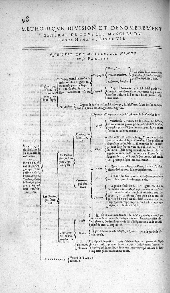 An illustration from Les Oeuvres de chirurgie de Jacques Guillemeau, chirurgien ordinaire du Roy et Juré à paris, divisées en treize livres. Avec les Portraicts & Figures Anatomiques de toutes les parties du corps humain. Et des Instrumens necessaires au Chirurgien. Derniere edition, 1602, leaf 111