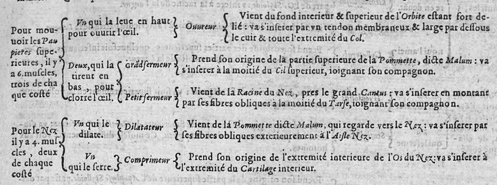 An illustration from Les Oeuvres de chirurgie de Jacques Guillemeau, chirurgien ordinaire du Roy et Juré à paris, divisées en treize livres. Avec les Portraicts & Figures Anatomiques de toutes les parties du corps humain. Et des Instrumens necessaires au Chirurgien. Derniere edition, 1602, leaf 114