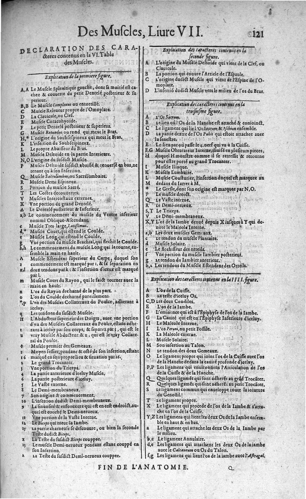 An illustration from Les Oeuvres de chirurgie de Jacques Guillemeau, chirurgien ordinaire du Roy et Juré à paris, divisées en treize livres. Avec les Portraicts & Figures Anatomiques de toutes les parties du corps humain. Et des Instrumens necessaires au Chirurgien. Derniere edition, 1602, leaf 134