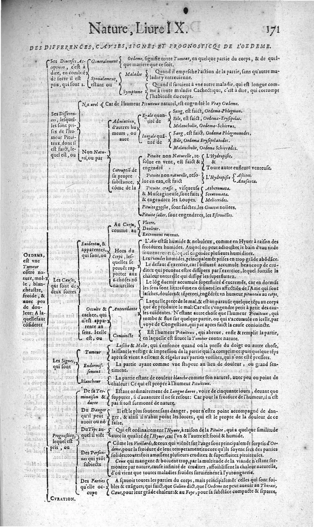 An illustration from Les Oeuvres de chirurgie de Jacques Guillemeau, chirurgien ordinaire du Roy et Juré à paris, divisées en treize livres. Avec les Portraicts & Figures Anatomiques de toutes les parties du corps humain. Et des Instrumens necessaires au Chirurgien. Derniere edition, 1602, leaf 196