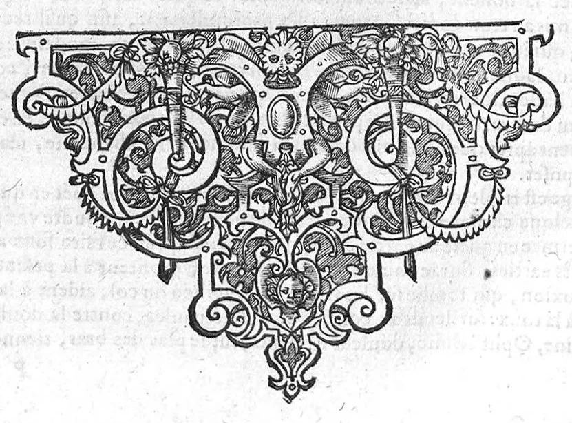 An illustration from Les Oeuvres de chirurgie de Jacques Guillemeau, chirurgien ordinaire du Roy et Juré à paris, divisées en treize livres. Avec les Portraicts & Figures Anatomiques de toutes les parties du corps humain. Et des Instrumens necessaires au Chirurgien. Derniere edition, 1602, leaf 275