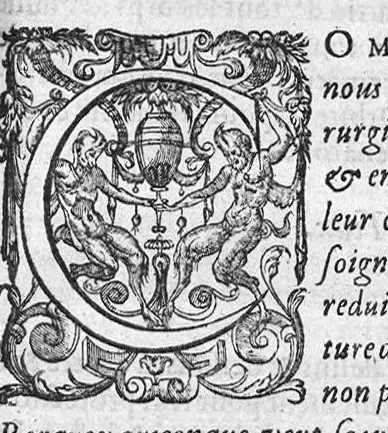 An illustration from Les Oeuvres de chirurgie de Jacques Guillemeau, chirurgien ordinaire du Roy et Juré à paris, divisées en treize livres. Avec les Portraicts & Figures Anatomiques de toutes les parties du corps humain. Et des Instrumens necessaires au Chirurgien. Derniere edition, 1602, leaf 308