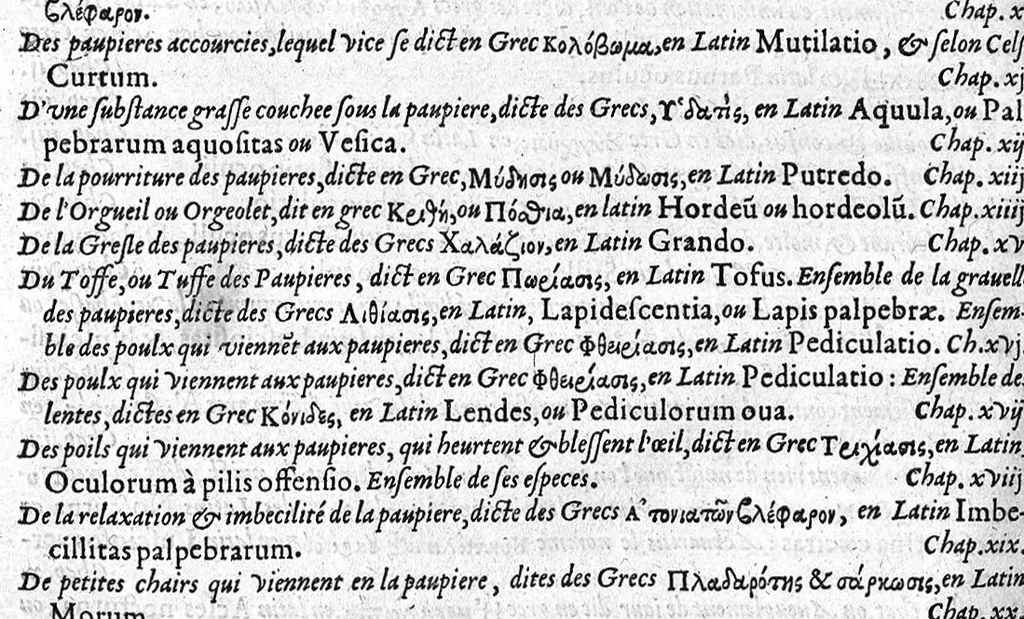 An illustration from Les Oeuvres de chirurgie de Jacques Guillemeau, chirurgien ordinaire du Roy et Juré à paris, divisées en treize livres. Avec les Portraicts & Figures Anatomiques de toutes les parties du corps humain. Et des Instrumens necessaires au Chirurgien. Derniere edition, 1602, leaf 375