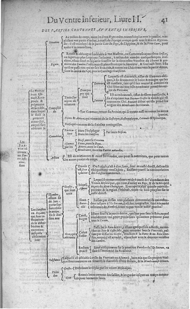 An illustration from Les Oeuvres de chirurgie de Jacques Guillemeau, chirurgien ordinaire du Roy et Juré à paris, divisées en treize livres. Avec les Portraicts & Figures Anatomiques de toutes les parties du corps humain. Et des Instrumens necessaires au Chirurgien. Derniere edition, 1602, leaf 54