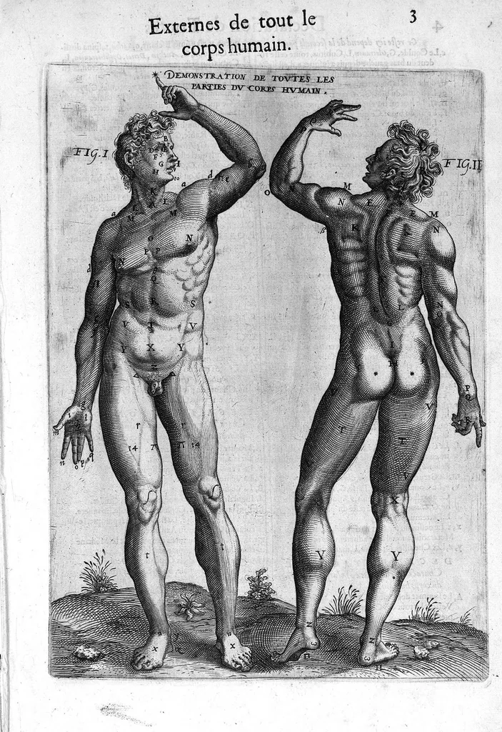 An illustration from La chirurgie françoise, recueillie des Anciens Medecins et Chirurgiens avec plusieurs figures des Instrumens necesseres pour l’operation Manuelle par Jacques Guillemeau D’Orleans, Chirurgien du Roy et Juré a Paris, 1594, leaf 10
