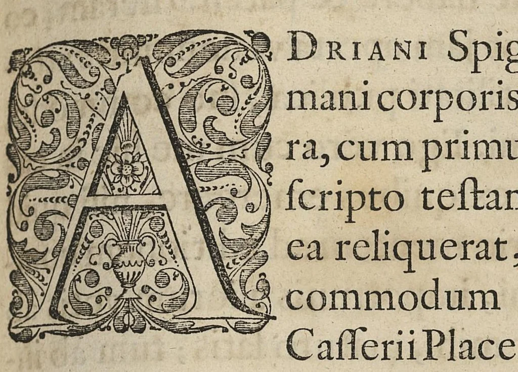 An illustration from Adriani Spigelii Bruxellensis Opera quae extant, omnia, ex recensione Ioh. Antonidae Vander Linden, 1645, leaf 350