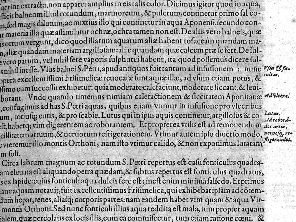 An illustration from Gabrielis Falloppii Mutinensis Physici ac Chirurgi praeclarissimi ... Opera omnia, 1600, leaf 276