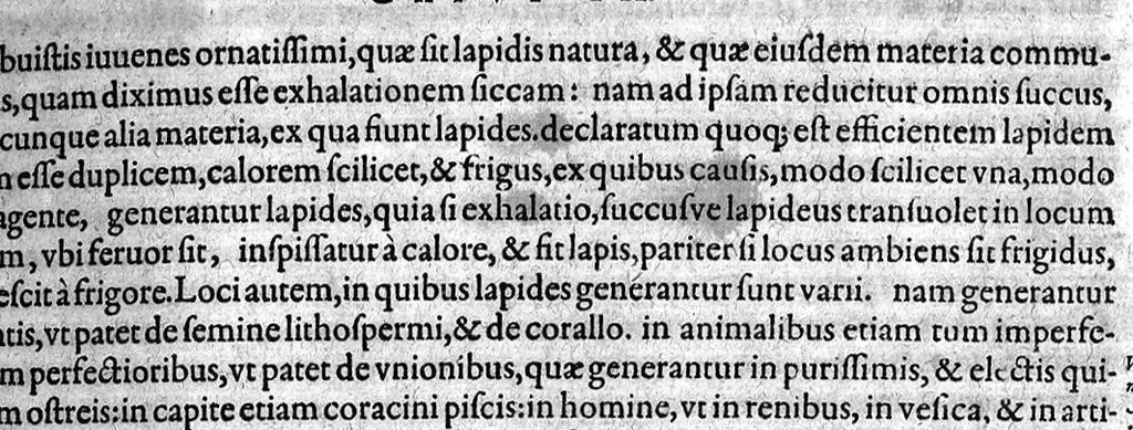 An illustration from Gabrielis Falloppii Mutinensis Physici ac Chirurgi praeclarissimi ... Opera omnia, 1600, leaf 306