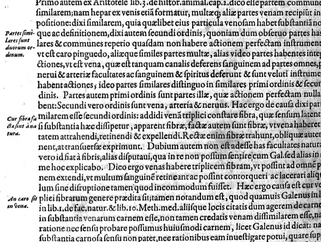 An illustration from Gabrielis Falloppii...operum...tomus secundus, 1600, leaf 135