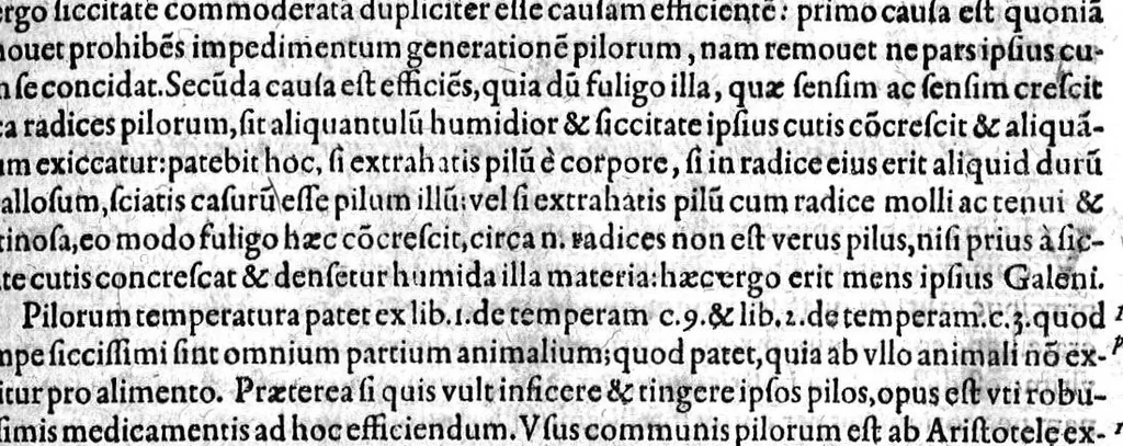 An illustration from Gabrielis Falloppii...operum...tomus secundus, 1600, leaf 160