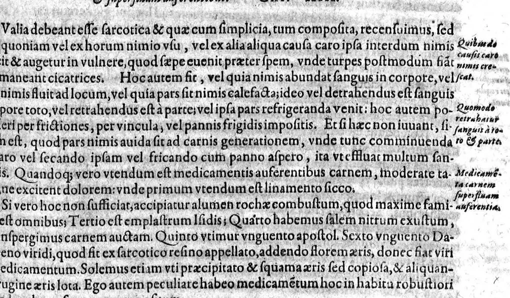 An illustration from Gabrielis Falloppii...operum...tomus secundus, 1600, leaf 194