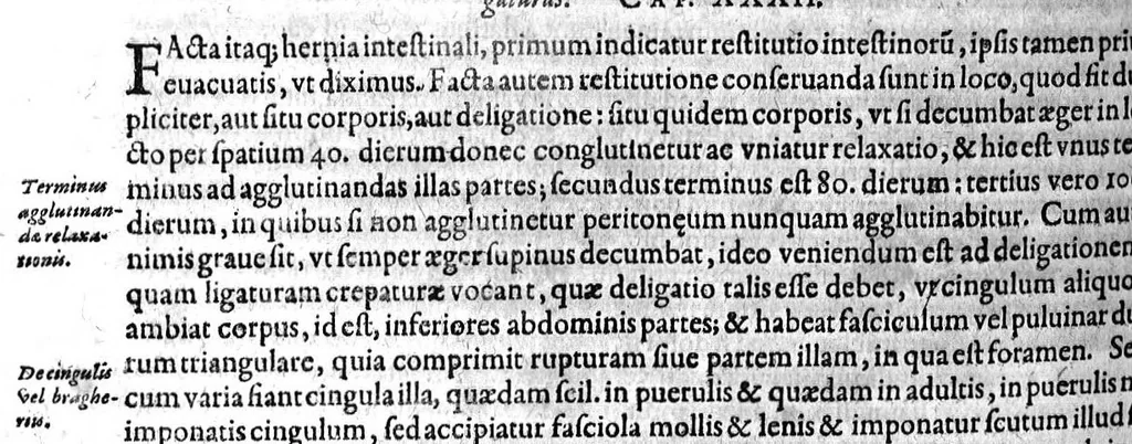 An illustration from Gabrielis Falloppii...operum...tomus secundus, 1600, leaf 317