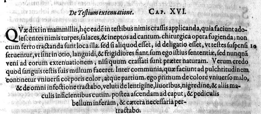 An illustration from Gabrielis Falloppii...operum...tomus secundus, 1600, leaf 351