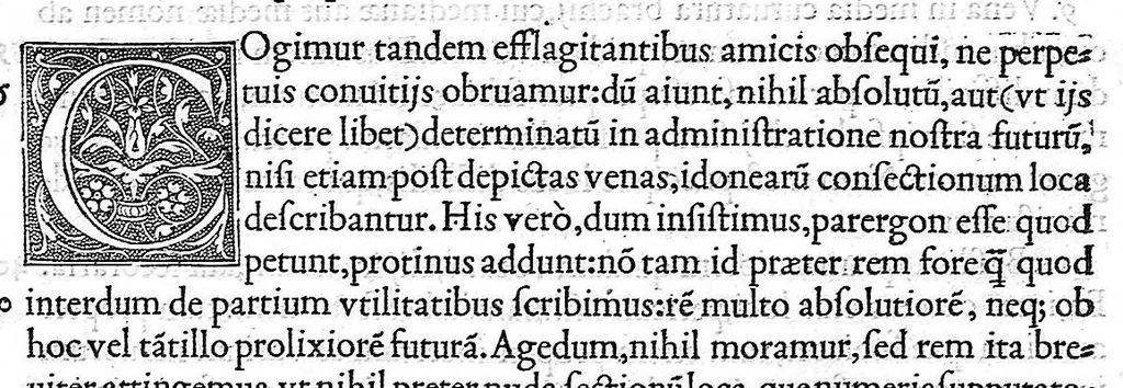 An illustration from De dissectione partium corporis humani libri tres, à Carolo Stephano, doctore Medico, editi. Unà cum figuris, et incisionum declarationibus, à Stephano Riverio Chirurgo compositis, 1545, leaf 167