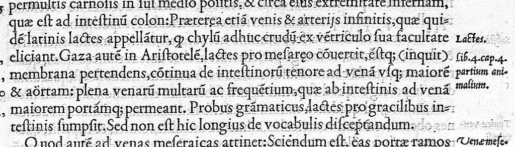 An illustration from De dissectione partium corporis humani libri tres, à Carolo Stephano, doctore Medico, editi. Unà cum figuris, et incisionum declarationibus, à Stephano Riverio Chirurgo compositis, 1545, leaf 203