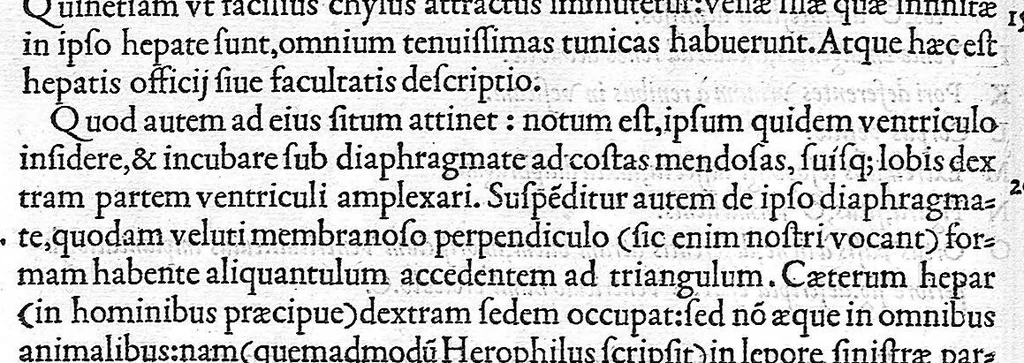 An illustration from De dissectione partium corporis humani libri tres, à Carolo Stephano, doctore Medico, editi. Unà cum figuris, et incisionum declarationibus, à Stephano Riverio Chirurgo compositis, 1545, leaf 208