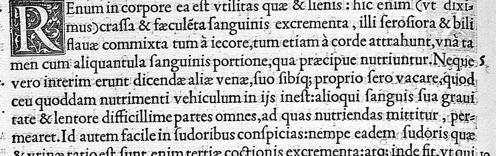 An illustration from De dissectione partium corporis humani libri tres, à Carolo Stephano, doctore Medico, editi. Unà cum figuris, et incisionum declarationibus, à Stephano Riverio Chirurgo compositis, 1545, leaf 212