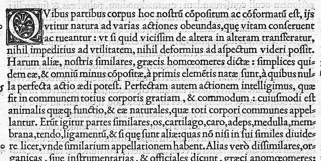 An illustration from De dissectione partium corporis humani libri tres, à Carolo Stephano, doctore Medico, editi. Unà cum figuris, et incisionum declarationibus, à Stephano Riverio Chirurgo compositis, 1545, leaf 27