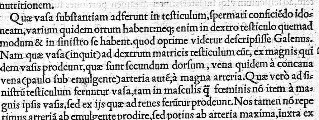 An illustration from De dissectione partium corporis humani libri tres, à Carolo Stephano, doctore Medico, editi. Unà cum figuris, et incisionum declarationibus, à Stephano Riverio Chirurgo compositis, 1545, leaf 309