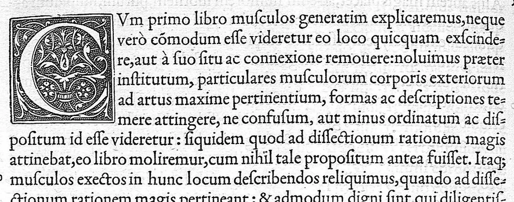 An illustration from De dissectione partium corporis humani libri tres, à Carolo Stephano, doctore Medico, editi. Unà cum figuris, et incisionum declarationibus, à Stephano Riverio Chirurgo compositis, 1545, leaf 330