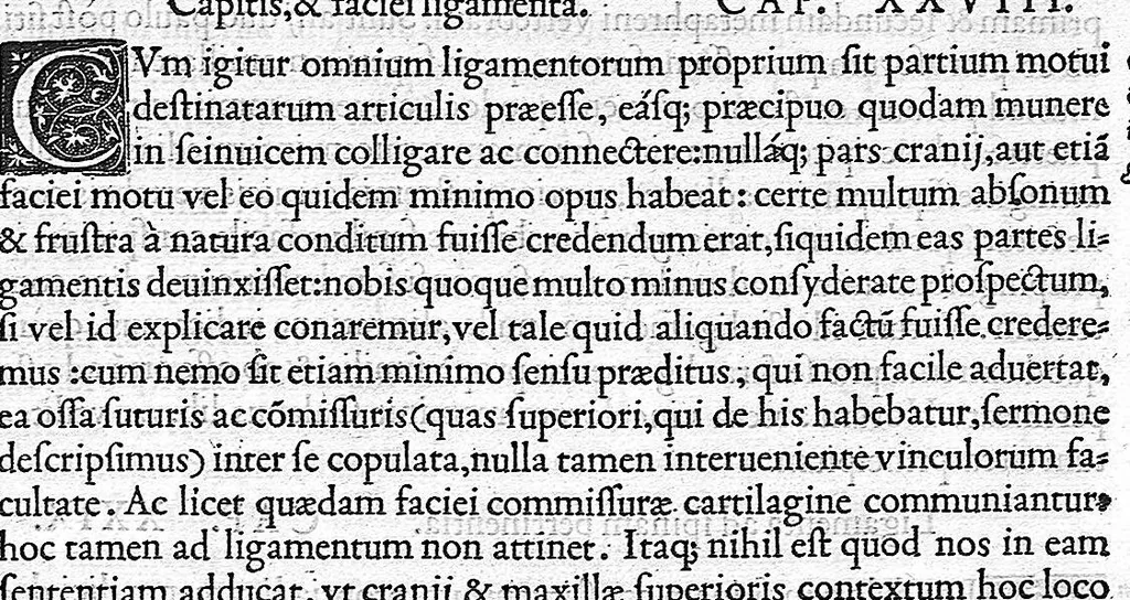 An illustration from De dissectione partium corporis humani libri tres, à Carolo Stephano, doctore Medico, editi. Unà cum figuris, et incisionum declarationibus, à Stephano Riverio Chirurgo compositis, 1545, leaf 67