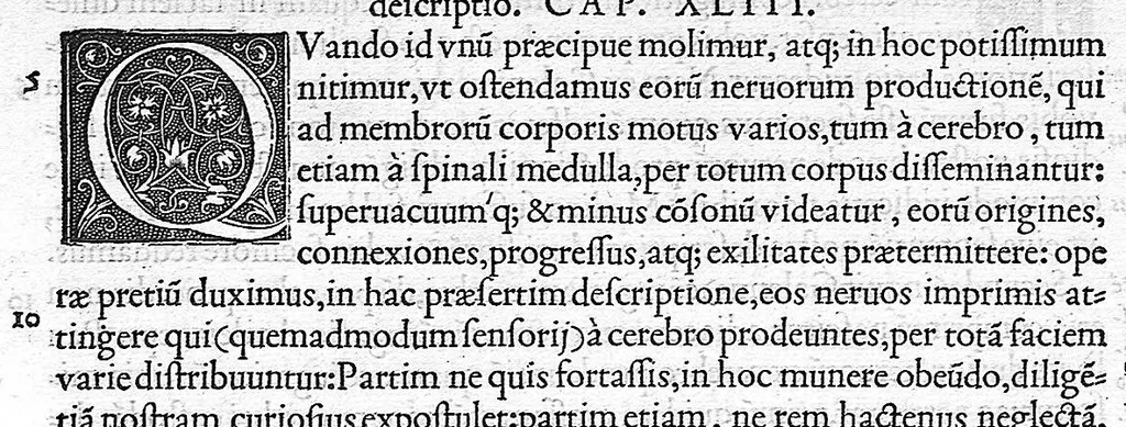 An illustration from De dissectione partium corporis humani libri tres, à Carolo Stephano, doctore Medico, editi. Unà cum figuris, et incisionum declarationibus, à Stephano Riverio Chirurgo compositis, 1545, leaf 87
