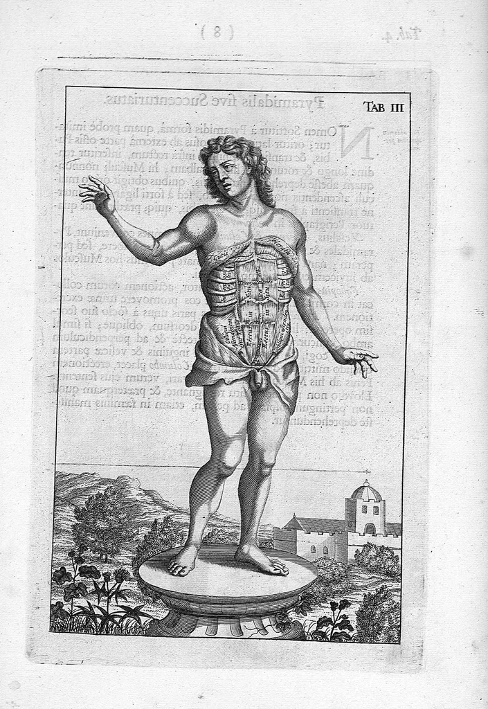 An illustration from Myographia Nova sive Musculorum omnium (in Corpore Humano hactenus repertorum) accuratissima descriptio..., 1684, leaf 24