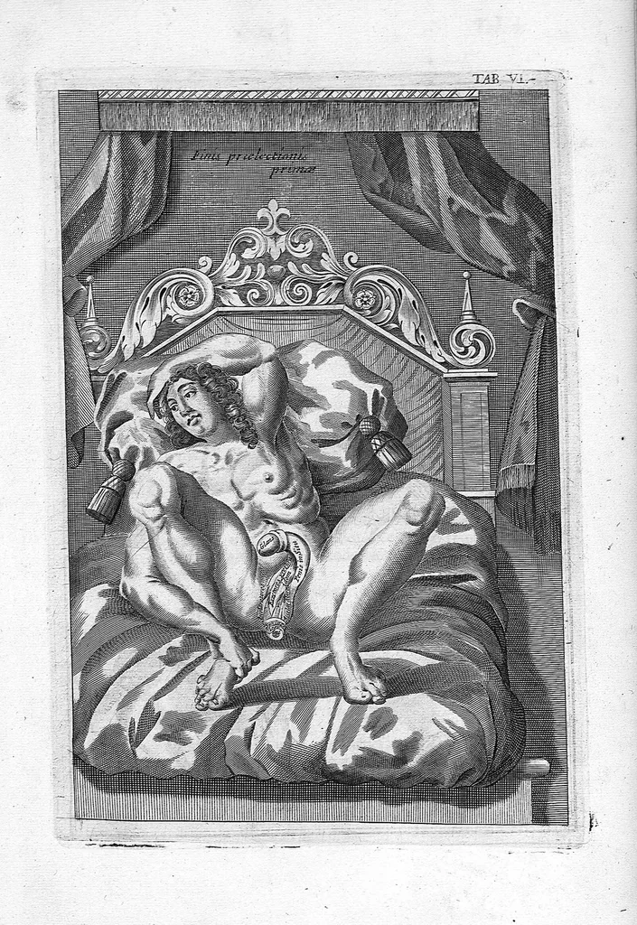 An illustration from Myographia Nova sive Musculorum omnium (in Corpore Humano hactenus repertorum) accuratissima descriptio..., 1684, leaf 30