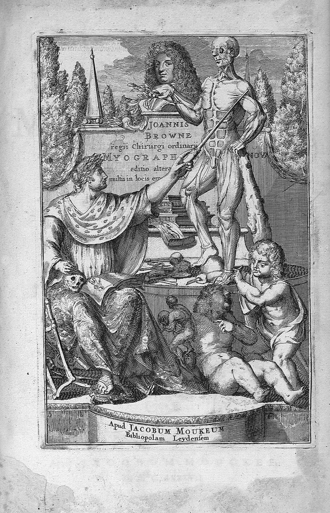 An illustration from Myographia Nova sive Musculorum omnium (in Corpore Humano hactenus repertorum) accuratissima descriptio..., 1687, leaf 0