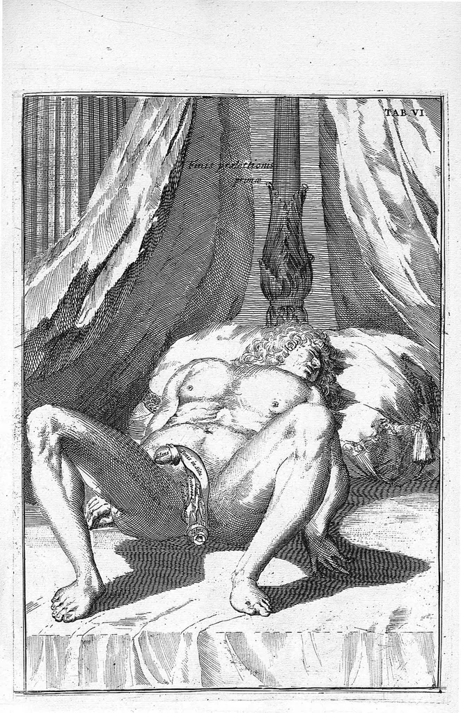 An illustration from Myographia Nova sive Musculorum omnium (in Corpore Humano hactenus repertorum) accuratissima descriptio..., 1687, leaf 26