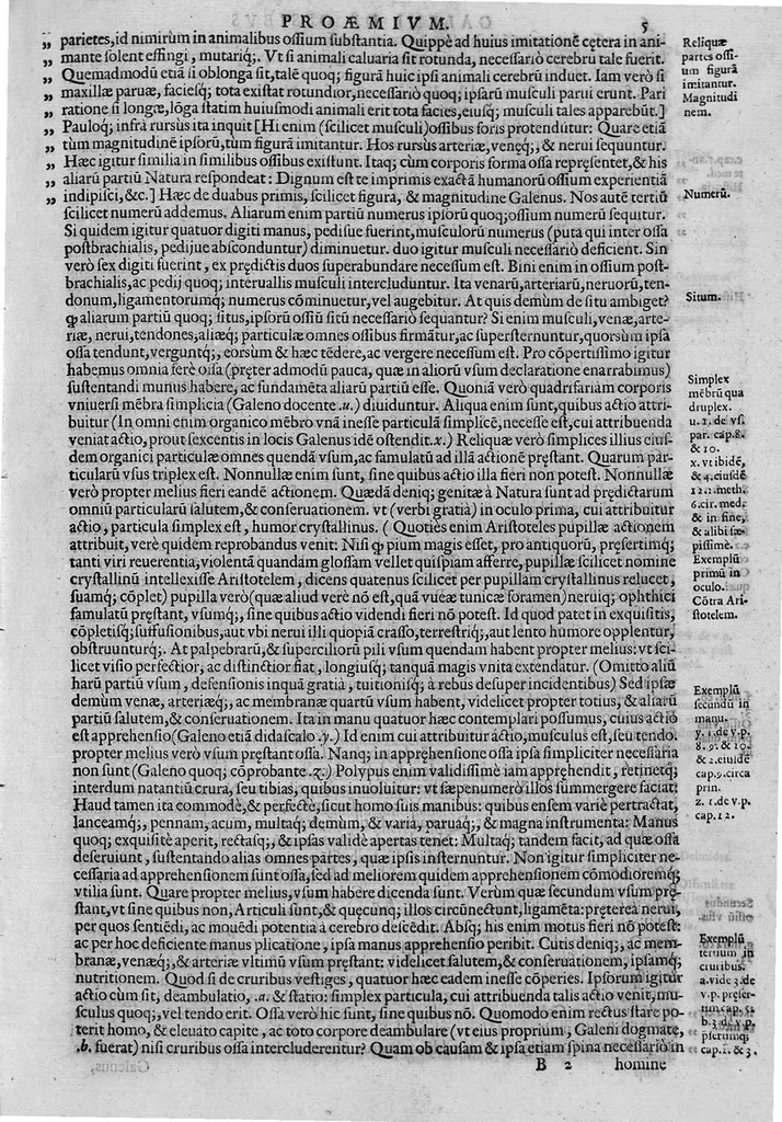 An illustration from Joan. Philippi Ingrassiae,... In Galeni librum de Ossibus... commentaria, nunc primum sedulo in lucem edita... quibus appositus est graecus Galeni contextus, una cum nova et fideli ejusdem Ingrassiae in latinum versione, 1603, leaf 10