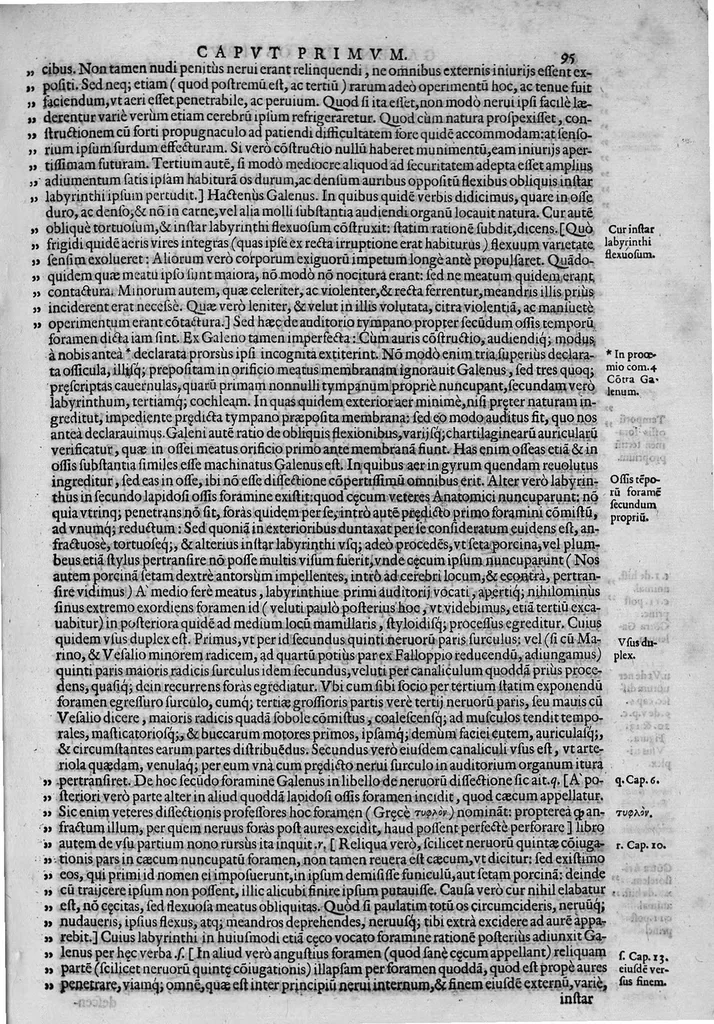 An illustration from Joan. Philippi Ingrassiae,... In Galeni librum de Ossibus... commentaria, nunc primum sedulo in lucem edita... quibus appositus est graecus Galeni contextus, una cum nova et fideli ejusdem Ingrassiae in latinum versione, 1603, leaf 100